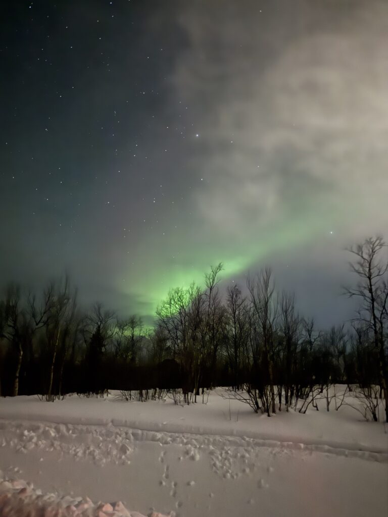 Aurora Boreale: quando la meraviglia arriva dopo la paura 2 psicoterapiarogersiana